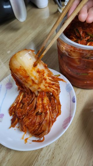셰프애찬 알배기 겉절이 김치 1kg — 5점을 준 리뷰어가 2022년 11월 올린 사용 사진