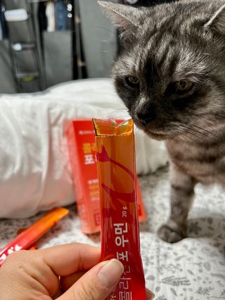 지연님이 올린 리뷰 사진 1