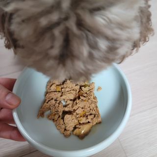 란다김님이 올린 리뷰 사진 3