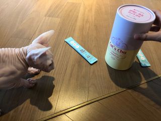 페페로니 잘 먹는 캣츄 - 무항생제 닭고기 12개 + 원양선 참치 12개 — 5점을 준 리뷰어가 2021년 8월 올린 사용 사진