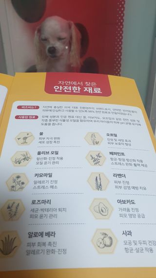 버츠비 케어플러스 릴리빙포앤노즈로션 — 5점을 준 리뷰어가 2021년 4월 올린 사용 사진