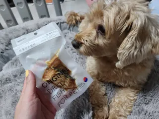 쓸언니님이 올린 리뷰 사진 2