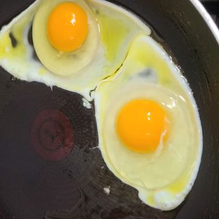 마에스트로 엑스트라버진 올리브 유 마에스트로 엑스트라버진 스페인 올리브유 — 5점을 준 리뷰어가 2022년 3월 올린 사용 사진