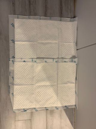 아베크 펫 와이드 프리미엄 중형 애견 강아지 배변 패드 54매 1팩 45g — 5점을 준 리뷰어가 2021년 7월 올린 사용 사진