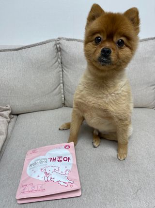 My Pet Care 천연단백질 관절건강에 개좋아 — 5점을 준 리뷰어가 2021년 1월 올린 사용 사진