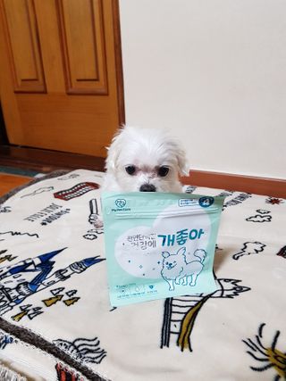 My Pet Care 천연단백질 눈건강에 개좋아 — 3점을 준 리뷰어가 2020년 12월 올린 사용 사진