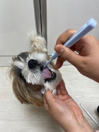 라라통통님이 올린 리뷰 사진 4