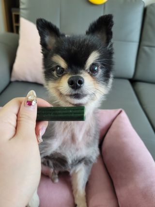 츄잉님이 올린 리뷰 사진 4