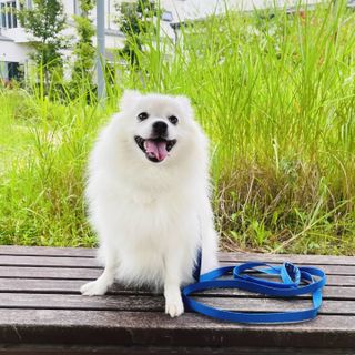 써니곰님이 올린 리뷰 사진 4