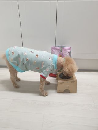차세라님이 올린 리뷰 사진 3