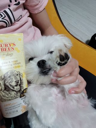 뽀블리님이 올린 리뷰 사진 1