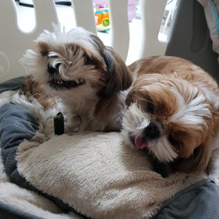민준맘님이 올린 리뷰 사진 3