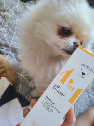 유화님이 올린 리뷰 사진 1