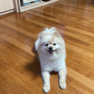 히스잉님이 올린 리뷰 사진 3