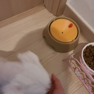 랴슈벨라님이 올린 리뷰 사진 3