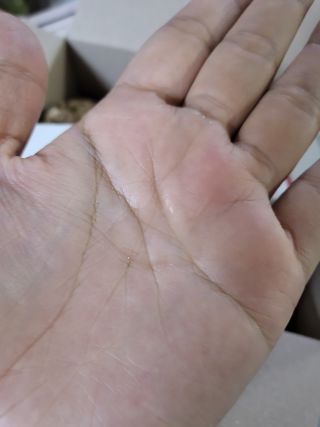 박지혜님이 올린 리뷰 사진 3