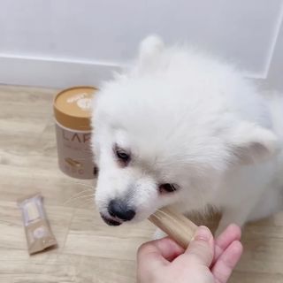 신블리마미님이 올린 리뷰 사진 3
