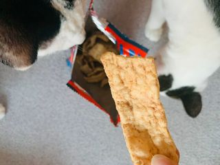 오둥이맘님이 올린 리뷰 사진 2