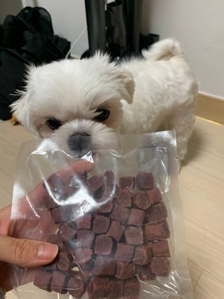 My Pet Care 천연단백질 눈건강에 개좋아 — 5점을 준 리뷰어가 2021년 1월 올린 사용 사진