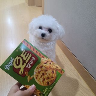 영님이 올린 리뷰 사진 1