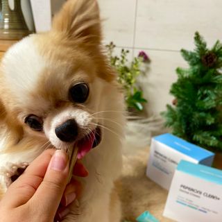 쏭블리님이 올린 리뷰 사진 3