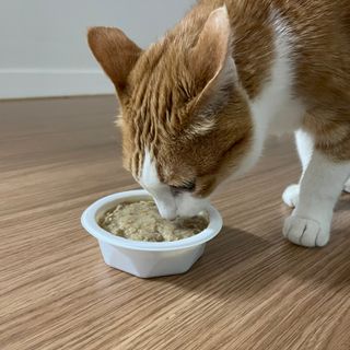 또블리님이 올린 리뷰 사진 3