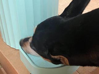 뚜나벨님이 올린 리뷰 사진 3