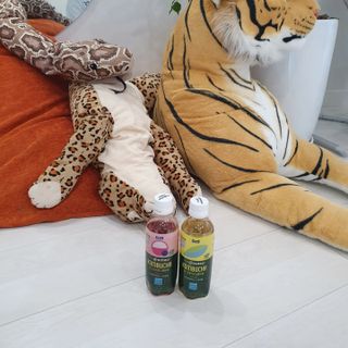 더그레잇티 콤부차 [매일유업] 더그레잇티 44kcal 콤부차 300ml *12개입 (오리지널 6개+베리리치 6개) — 5점을 준 리뷰어가 2023년 7월 올린 사용 사진