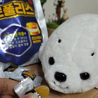 물끼님이 올린 리뷰 사진 3