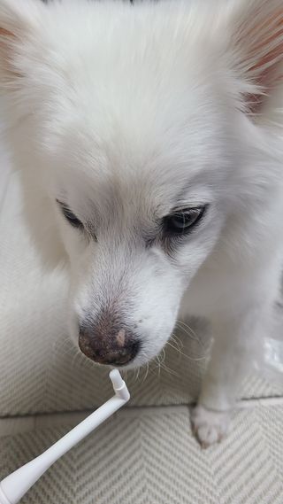 치카페카 Chicapetca — 5점을 준 리뷰어가 2022년 2월 올린 사용 사진