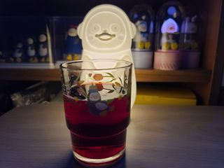 몽베스트 Montbest with Sparkling water Lemon OR Lime 20병(랜덤) — 5점을 준 리뷰어가 2021년 10월 올린 사용 사진