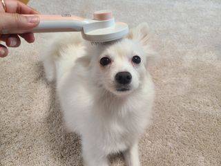 니나니나님이 올린 리뷰 사진 2