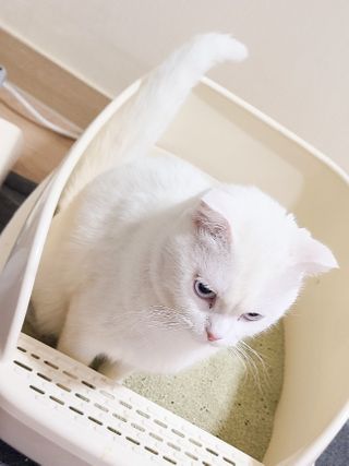 hyung님이 올린 리뷰 사진 2