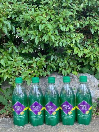 몽베스트 Montbest with Sparkling water Lemon OR Lime 20병(랜덤) — 5점을 준 리뷰어가 2022년 6월 올린 사용 사진