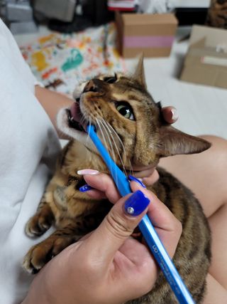 Erika님이 올린 리뷰 사진 3