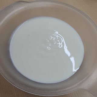 숲골 임실치즈마을 프로바이오 요거트 450ml 2개 — 5점을 준 리뷰어가 2021년 10월 올린 사용 사진