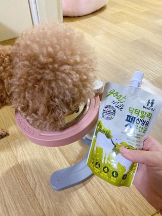 파이님이 올린 리뷰 사진 1