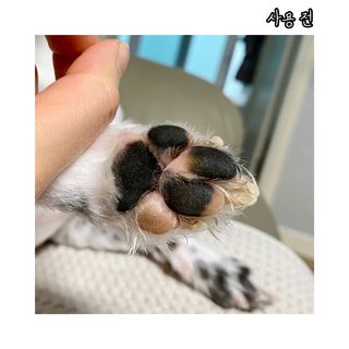 슈니슈니님이 올린 리뷰 사진 2