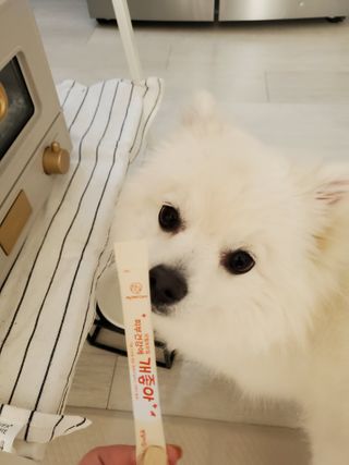 My Pet Care 모발과 모질 피부건강에 개좋아 — 5점을 준 리뷰어가 2021년 2월 올린 사용 사진