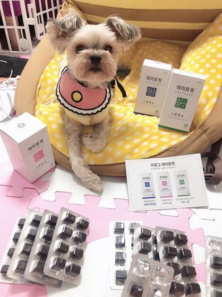 꿀님이 올린 리뷰 사진 2
