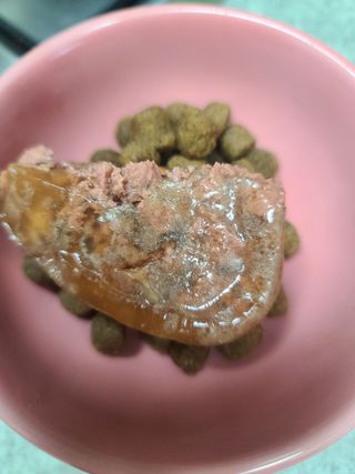 꾸꾸엄마님이 올린 리뷰 사진 3