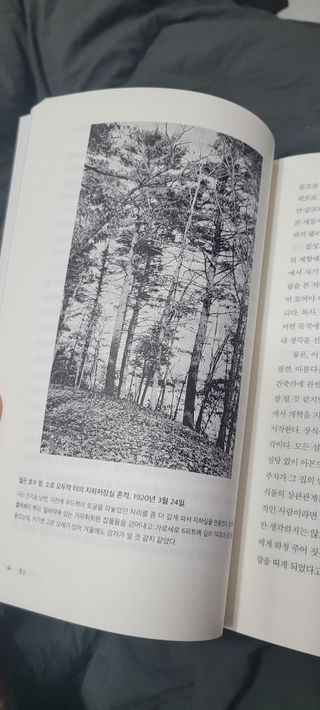 원이님이 올린 리뷰 사진 3