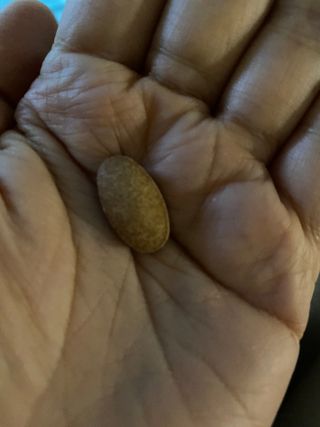 뿜뿌뿡님이 올린 리뷰 사진 1