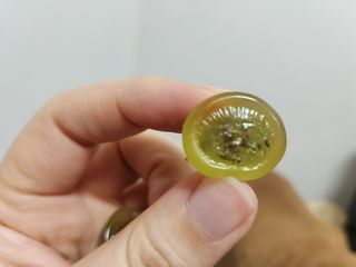 솔탄이love님이 올린 리뷰 사진 3