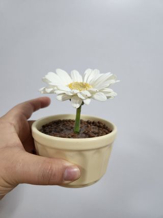 올라잍 천연화공석 — 5점을 준 리뷰어가 2022년 6월 올린 사용 사진