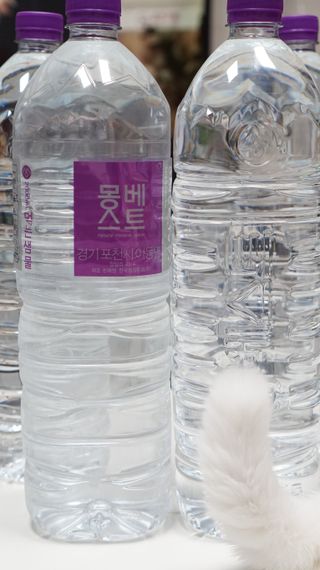 도르방구님이 올린 리뷰 사진 4