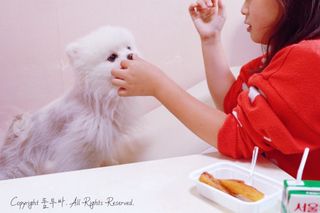 sunny님이 올린 리뷰 사진 2