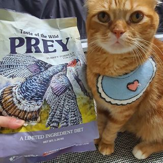 용가님이 올린 리뷰 사진 2