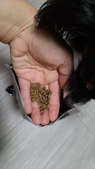 [푸디웜] 라포그 리얼인섹트 소프트키블 스킨 1KG — 5점을 준 리뷰어가 2022년 9월 올린 사용 사진
