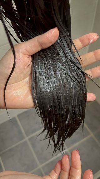 노래하는치타(숙현)님이 올린 리뷰 사진 2
